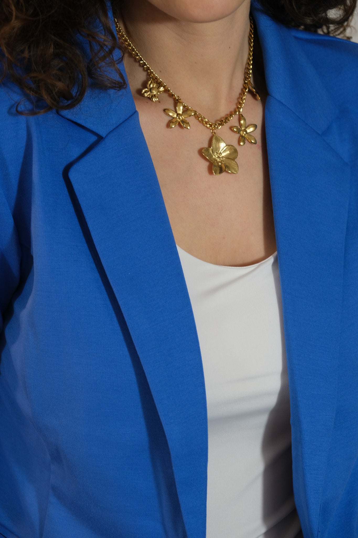 BLAZER NAU